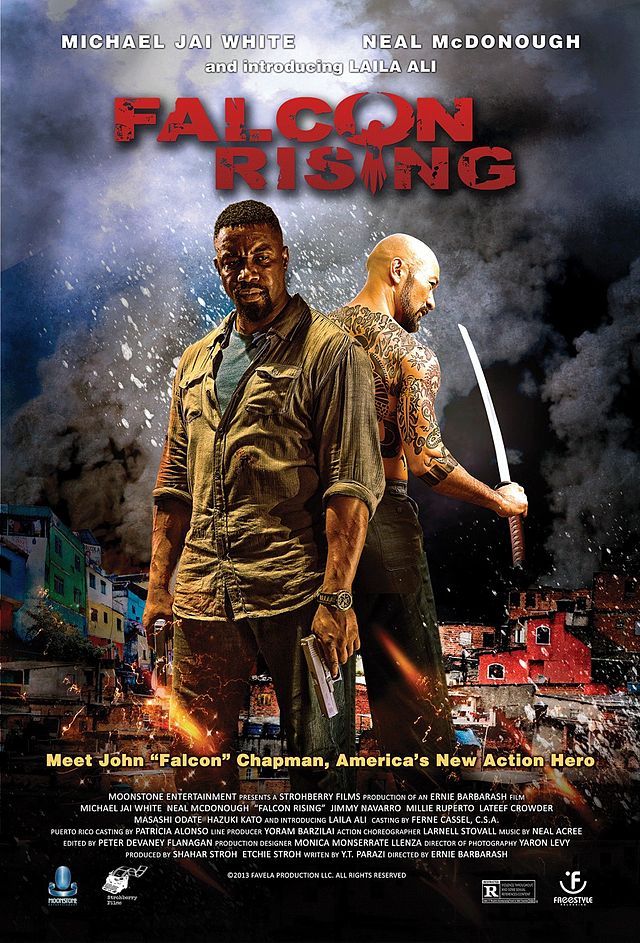 Falcon Rising (2014)