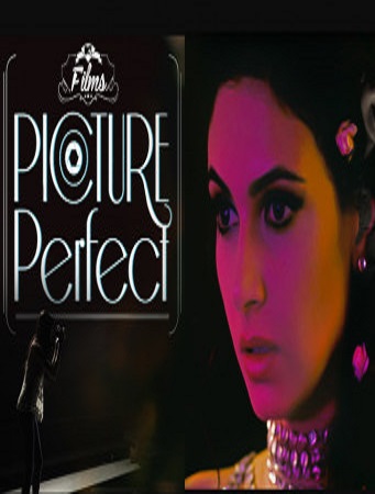 Picture Perfect (2014)