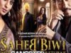 Saheb Biwi Aur Gangster Returns (2013)