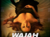 Wajah Tum Ho (2016)