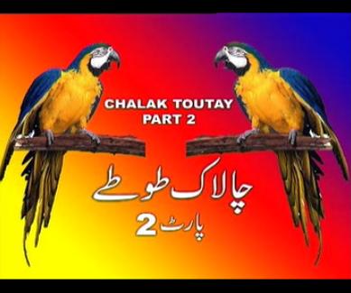 chalak toutey 2