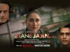 Jaane Jaan (2023)